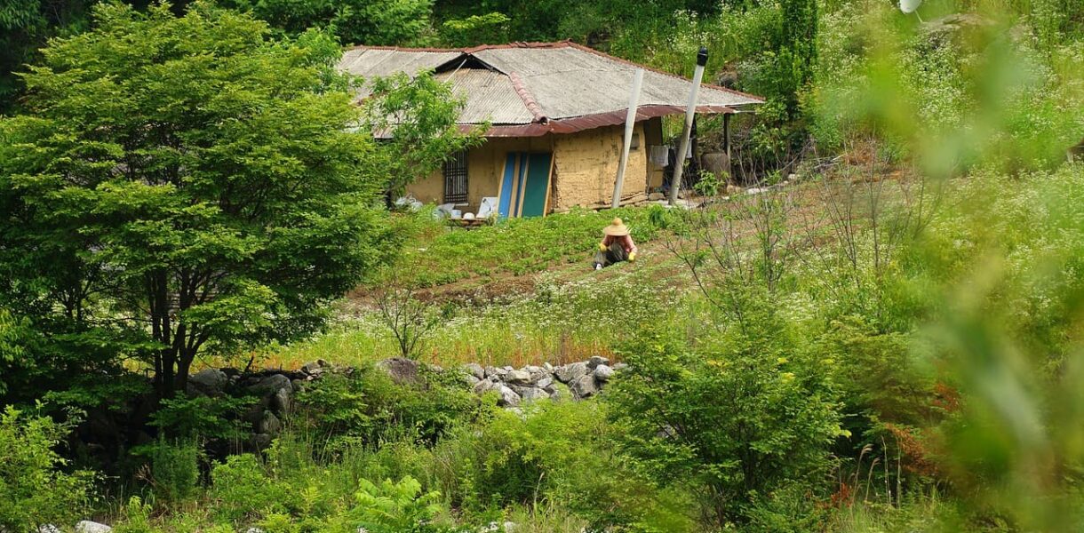 Vivre seul dans une maison isolée en pleine campagne : Les précautions